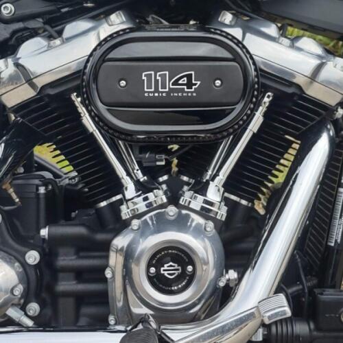 Harley-Davidson® Softail® Standard 2023 thumb 2