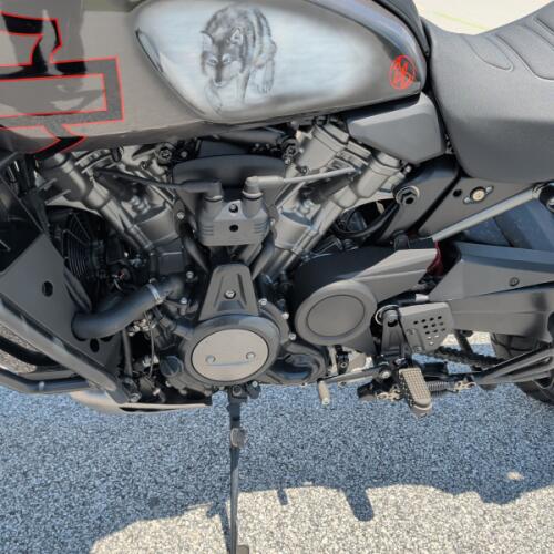 Harley-Davidson® Pan America™ 1250 Special 2021 thumb 2