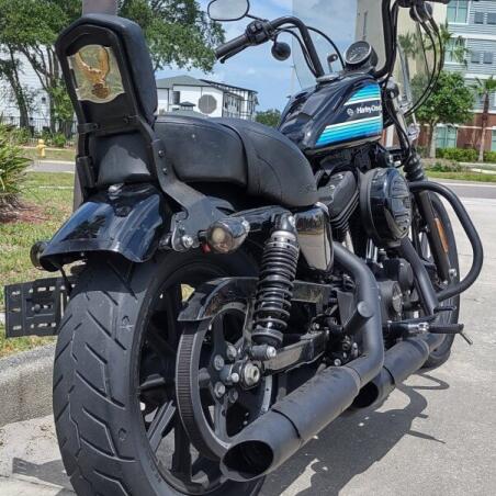Harley-Davidson® Iron 1200™ 2019 thumb 2