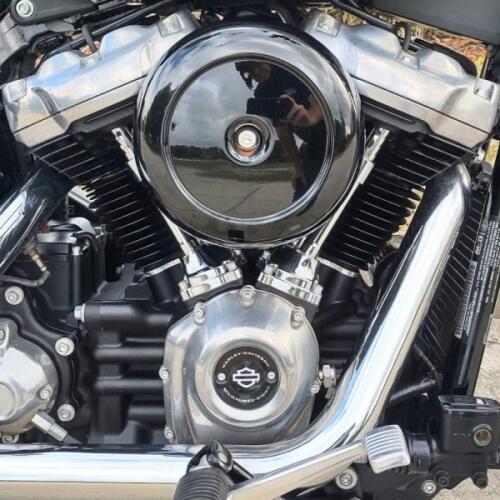 Harley-Davidson® Softail® Standard 2023 thumb 2