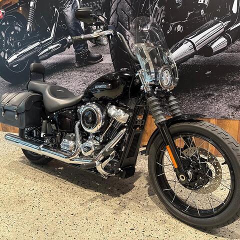 Harley-Davidson MY25 Harley-Davidson Softail Street Bob 117 W/ABS (FXBB) 2025  thumb 2