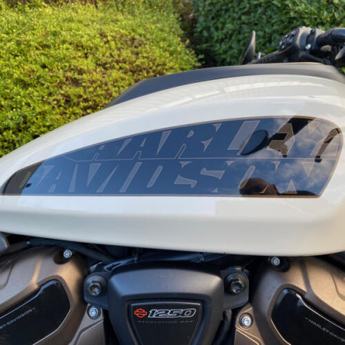 RH1250S 2024 Sportster® S thumb 1