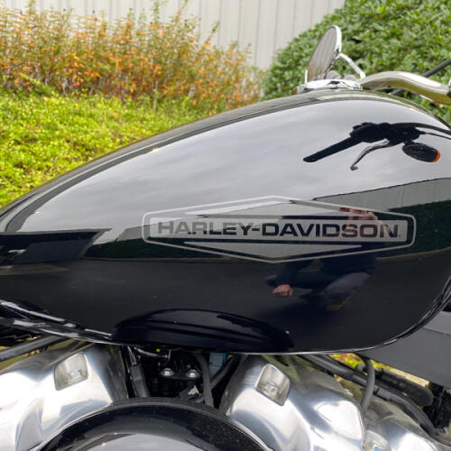 FXST 2022 Softail Standard® thumb 0