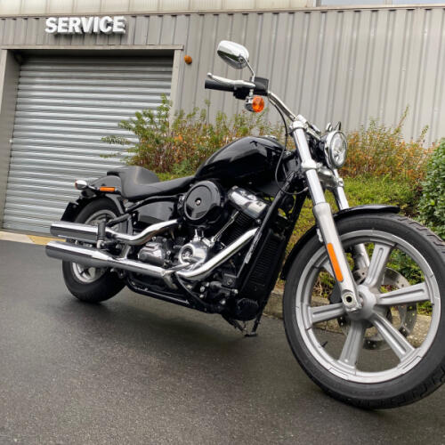 FXST 2022 Softail Standard® thumb 3
