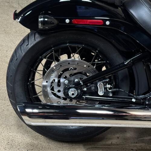 Harley-Davidson® Street Bob® 2026 thumb 3