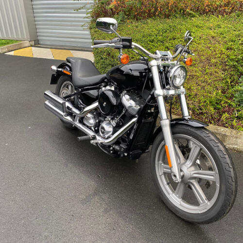 FXST 2022 Softail Standard® thumb 2