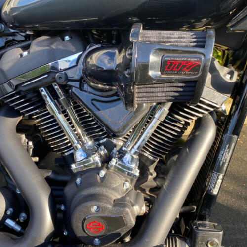  2025 SOFTAIL LOW RIDER 1923 ST thumb 0