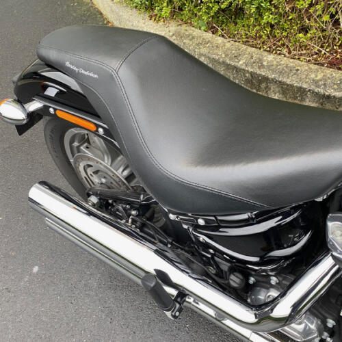 FXST 2022 Softail Standard® thumb 1