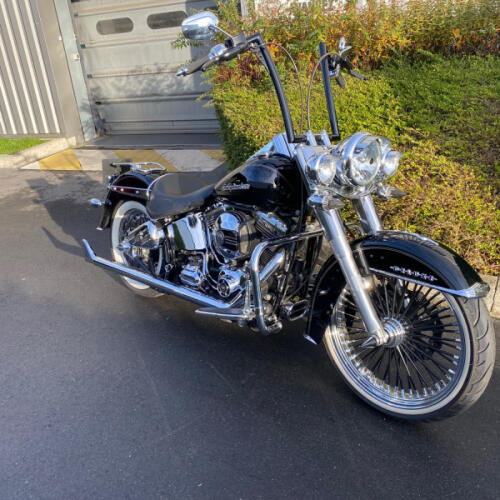FLSTN 2016 Softail® Deluxe thumb 2