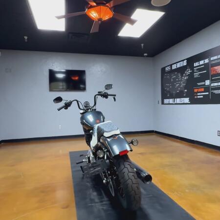 2025 Harley-Davidson® Street Bob® Iron Horse Metallic w/Cast Wheels thumb 0