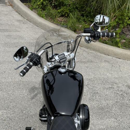 Harley-Davidson® Softail Standard® 2020 thumb 1