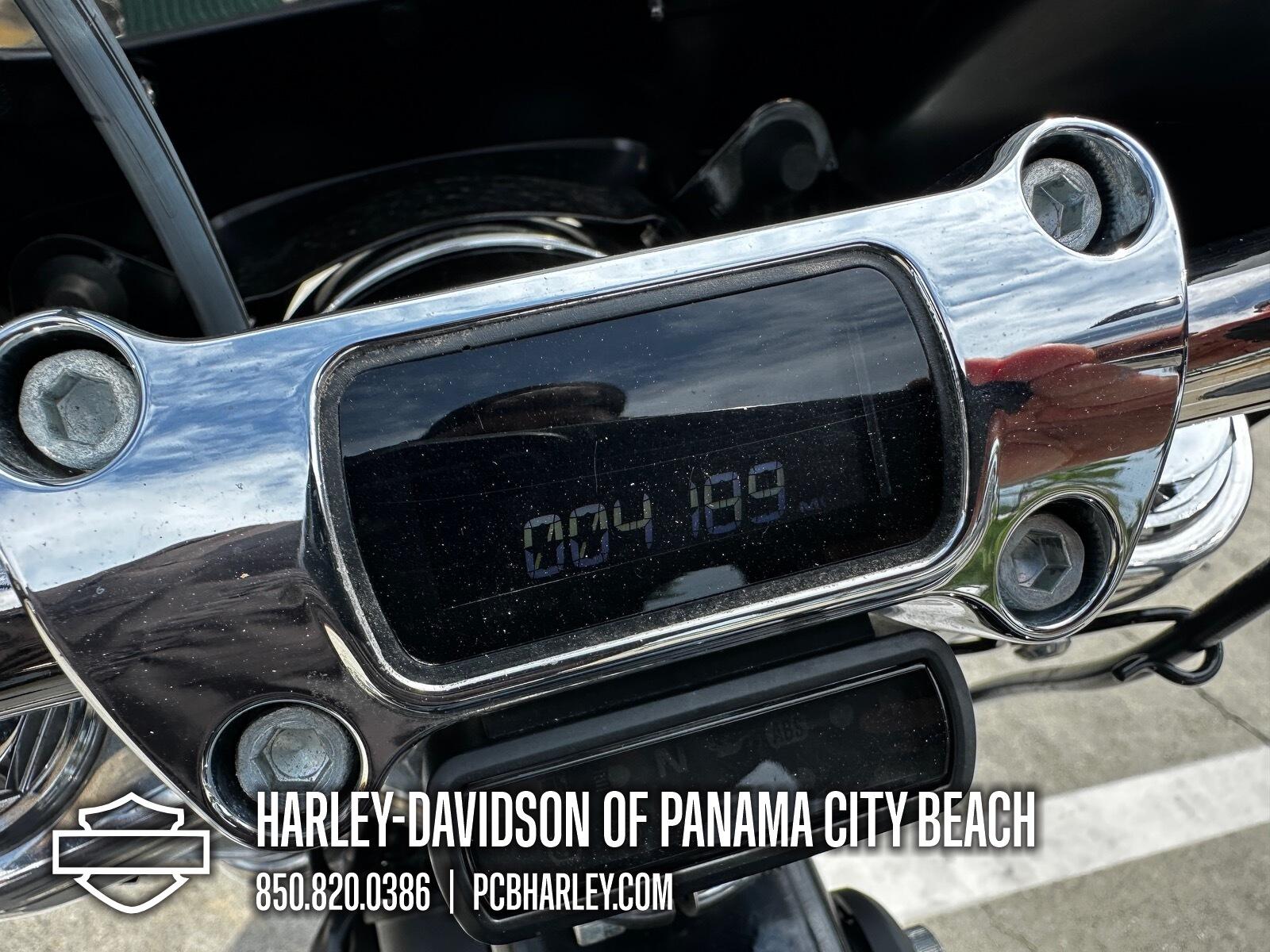 2020 Harley-Davidson® Softail Standard®, photo 16