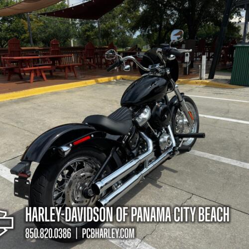 2020 Harley-Davidson® Softail Standard® thumb 2