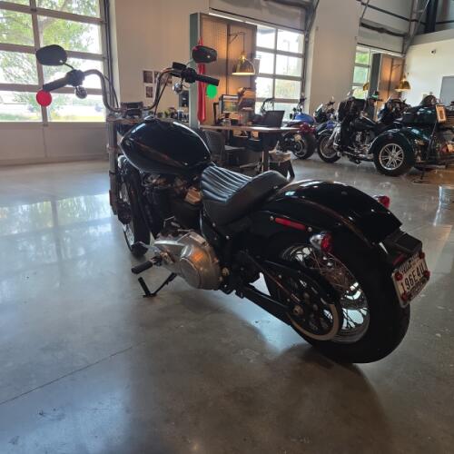 Harley-Davidson® Softail Standard® 2020 thumb 0