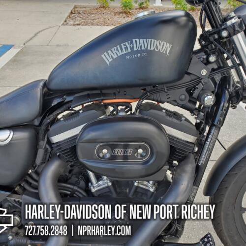 XL 883N 2014 Iron 883™ thumb 1